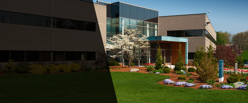 Woodinville Landscapers