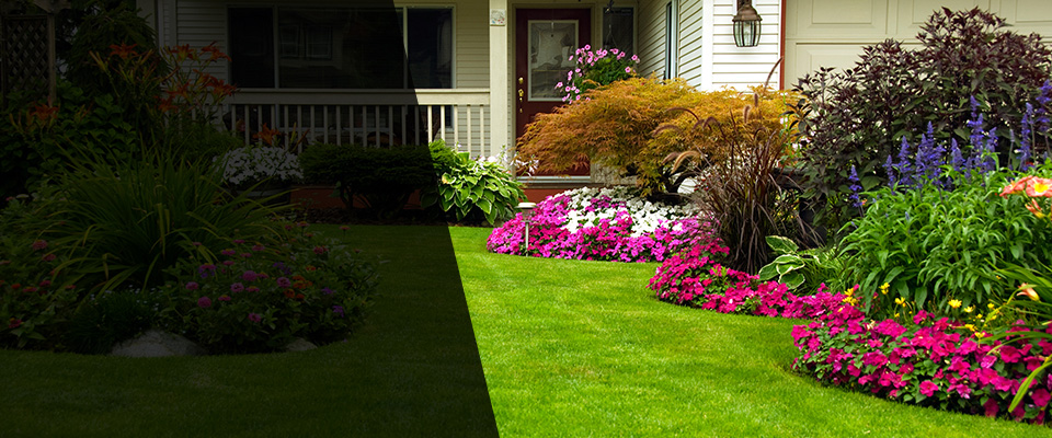 Woodinville Landscapers