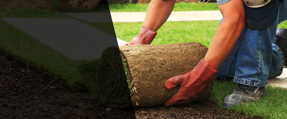 Woodinville Landscapers